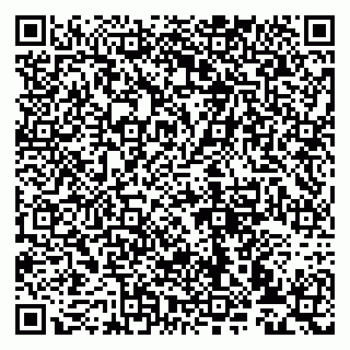 vCard 79993833137