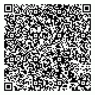 vCard 79993833138