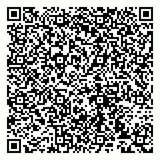 vCard 79993833141