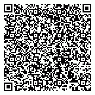 vCard 79993833142