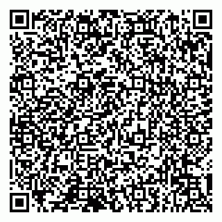 vCard 79993833145