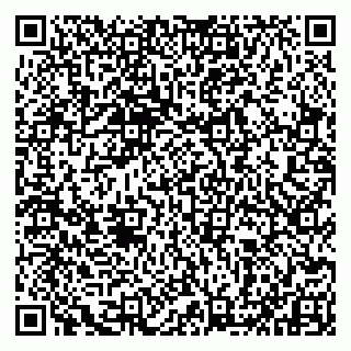 vCard 79993833146