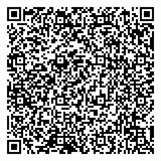 vCard 79993833150