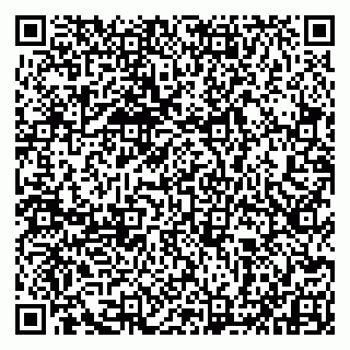 vCard 79993833152