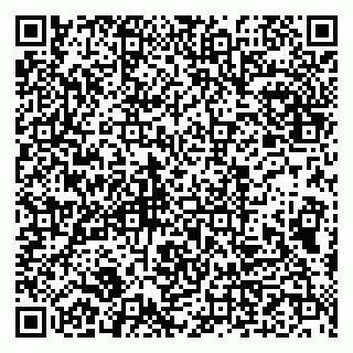 vCard 79993833154