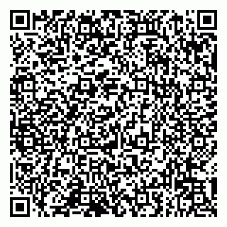 vCard 79993833156