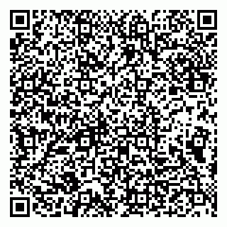 vCard 79993833160