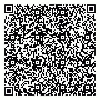 vCard 79993833163