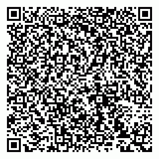 vCard 79993833168