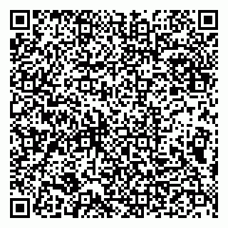 vCard 79993833170