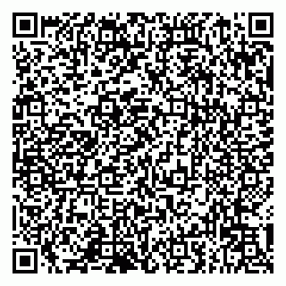 vCard 79993833171