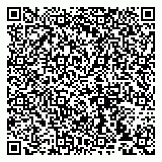 vCard 79993833172