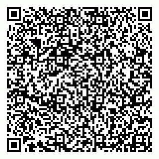 vCard 79993833174
