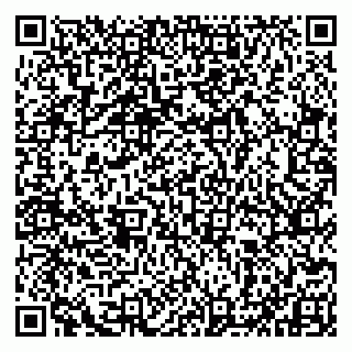 vCard 79993833175