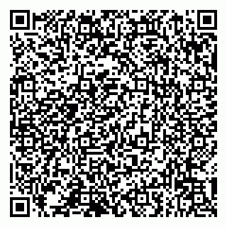 vCard 79993833176