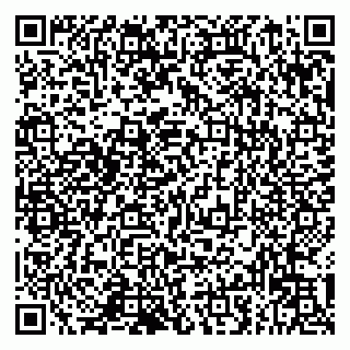 vCard 79993833177