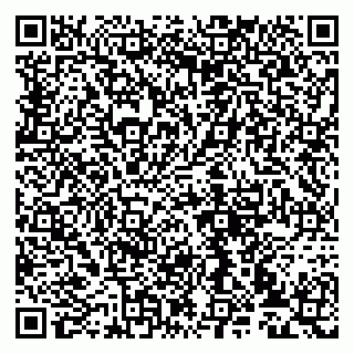 vCard 79993833180