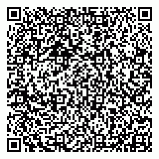 vCard 79993833182