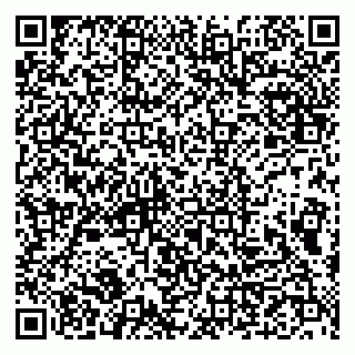 vCard 79993833183