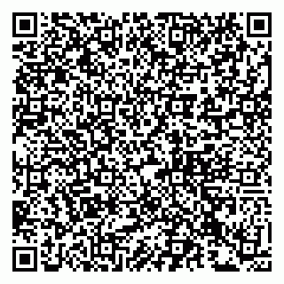 vCard 79993833184