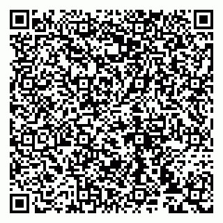 vCard 79993833185