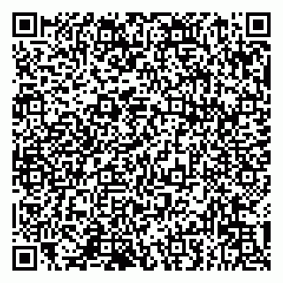 vCard 79993833189