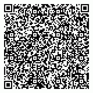 vCard 79993833190