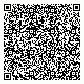 vCard 79993833192