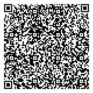 vCard 79993833194