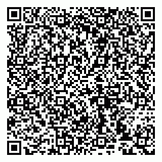 vCard 79993833195