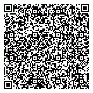 vCard 79993833197