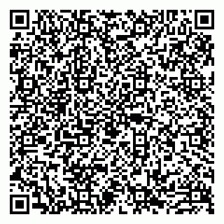 vCard 79993833198
