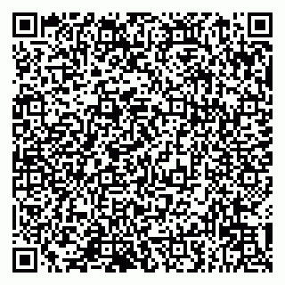 vCard 79993833201