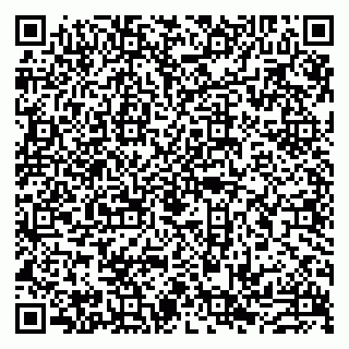 vCard 79993833202