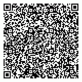 vCard 79993833204