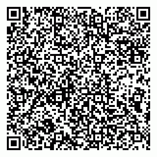 vCard 79993833210