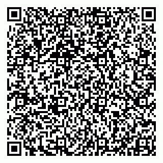 vCard 79993833213
