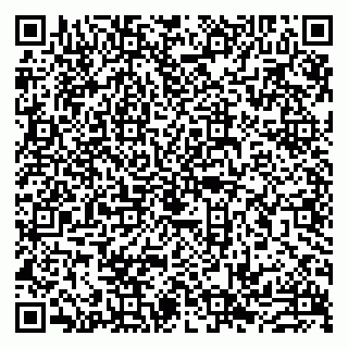 vCard 79993833215