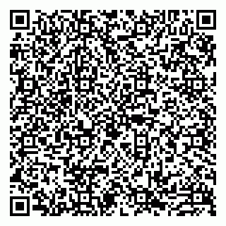 vCard 79993833220