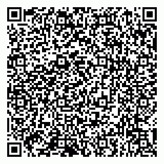 vCard 79993833221