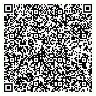 vCard 79993833225