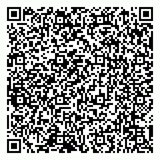 vCard 79993833227