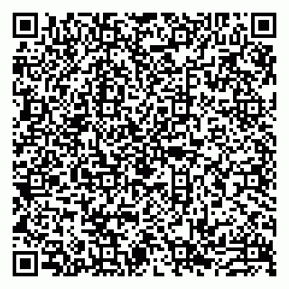 vCard 79993833228