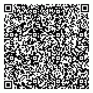 vCard 79993833229