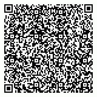 vCard 79993833233
