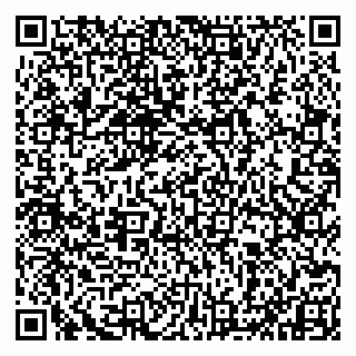 vCard 79993833234