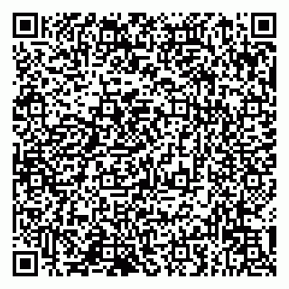 vCard 79993833235