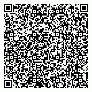vCard 79993833236