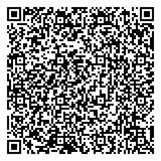 vCard 79993833237