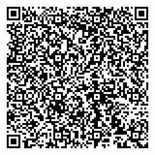 vCard 79993833238